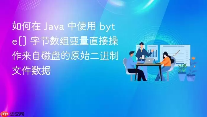 如何在 Ja va 中使用 byte[] 字节数组变量直接操作来自磁盘的原始二进制文件数据