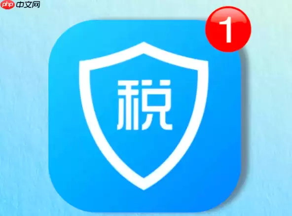 个人所得税网站入口 个人所得税官方登录平台入口