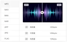 野葱视频转换器怎么提取音频-野葱视频转换器如何进行音频提取