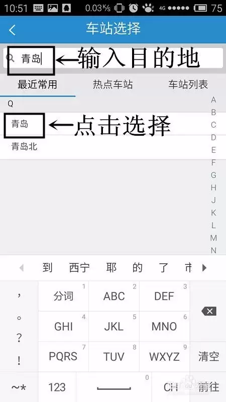 12306购票页面的宠是什么意思