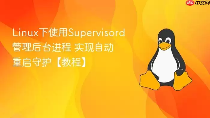 linux下使用supervisord管理后台进程 实现自动重启守护【教程】