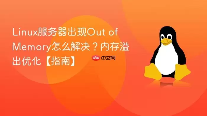 Linux服务器出现Out of Memory怎么解决?内存溢出优化【指南】