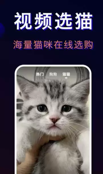 宠物托运平台app哪个好 宠物托运平台app推荐