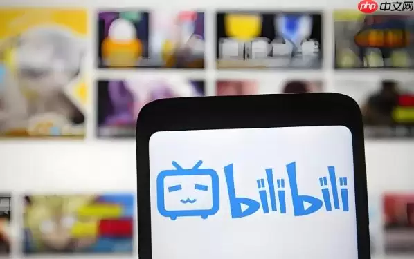 B站官网入口 哔哩哔哩网页版在线看