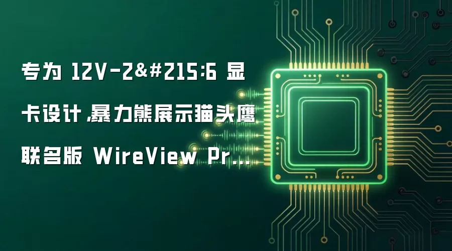 专为 12V-2×6 显卡设计，暴力熊展示猫头鹰联名版 WireView Pro II GPU 电源监视器