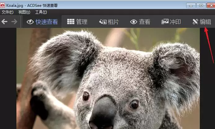 acdsee怎么调整图片的分辨率