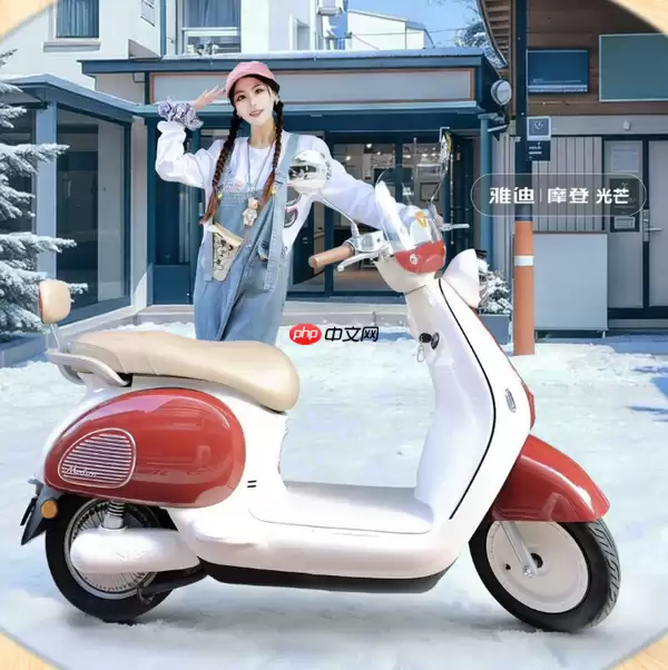 2025年中国电动两轮车品牌份额排名:雅迪第一 九号第四