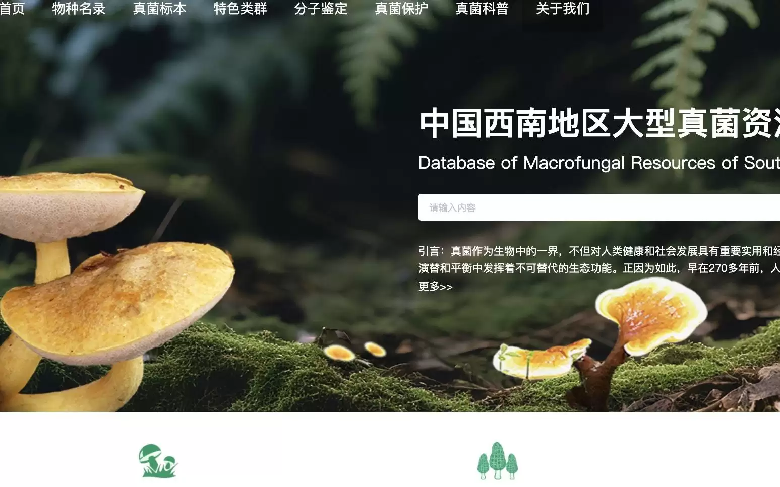 中国科学院上线“真菌王国”数据库，野外捡小菌子能“按图识别”？官方回应：别把它当“防中毒神器”