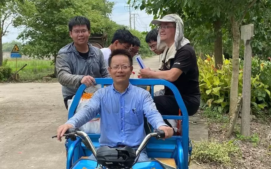 喂猪有望不用进口大豆?中国科学家找到“丢失”的玉米高蛋白基因