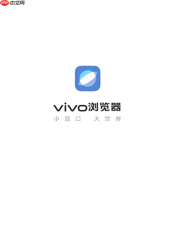 为什么vivo浏览器内核不支持某些最新的JavaScript语法？