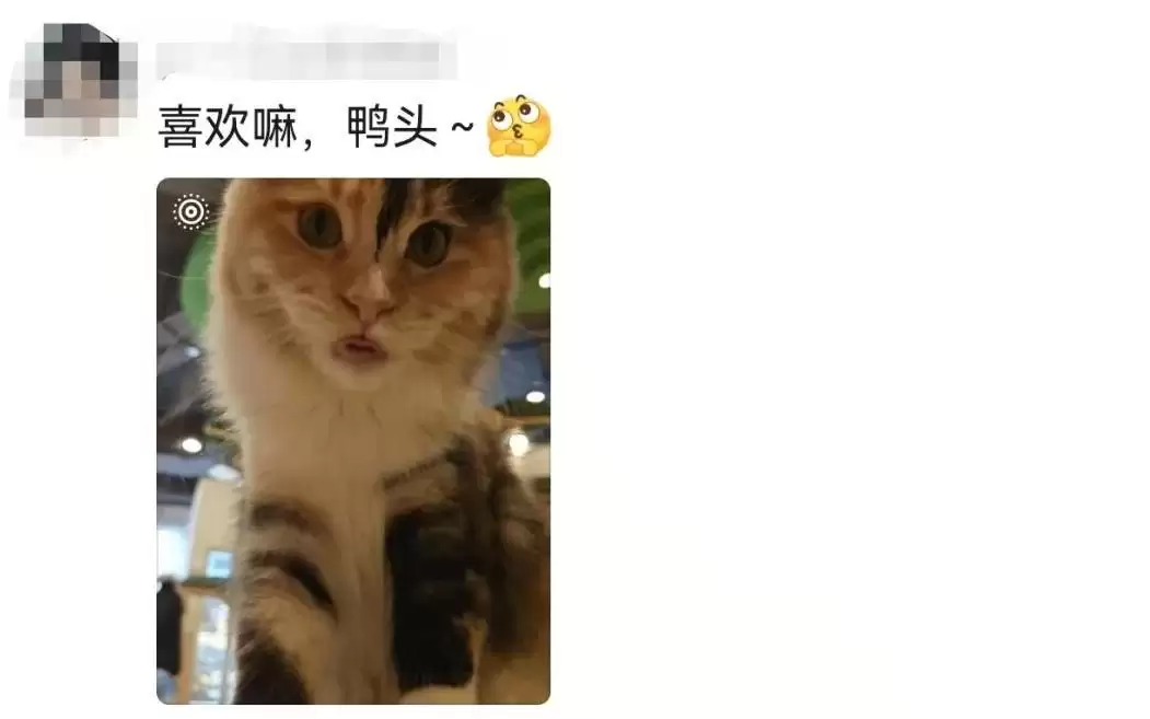 苹果实况、输入法遭网友大量吐槽:本地化体验太差