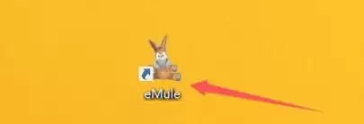 eMule怎么自动连接-eMule自动连接的方法