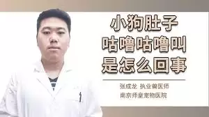 如何在Boss直聘刷新简历状态