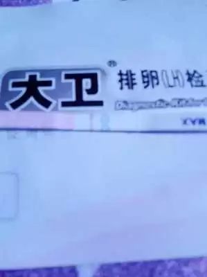 SBTI测试妈妈是什么人格-SBTI测试妈妈属于哪种人