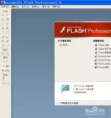 Macromedia Flash8.0中文版如何制作动画-Macromedia Flash8.0中文版怎样进行动画制作