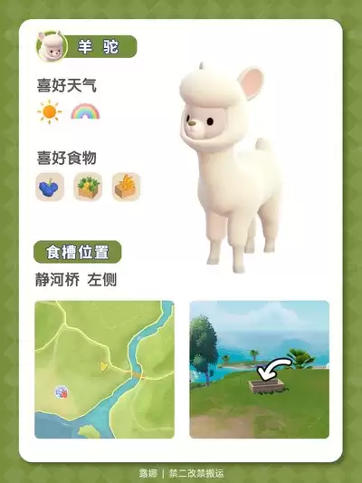 心动小镇梅花鹿怎么介绍