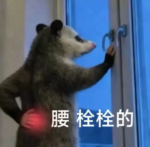 2026年爆火背手负鼠表情包-打工人的精神嘴替！