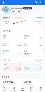 蚂蚁财富如何查看持有份额