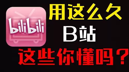 哔哩哔哩bilibili网页版入口在哪里