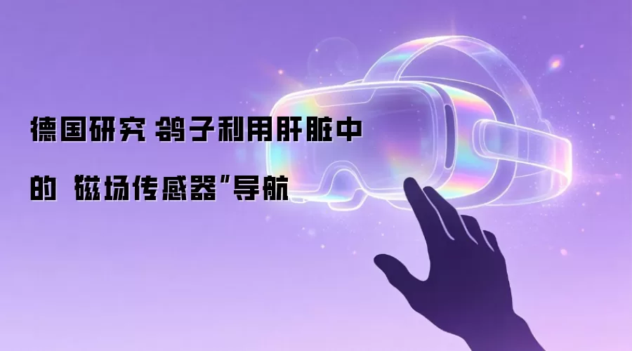 德国研究：鸽子利用肝脏中的“磁场传感器”导航