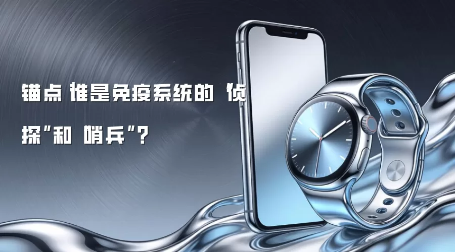 锚点｜谁是免疫系统的“侦探”和“哨兵”？
