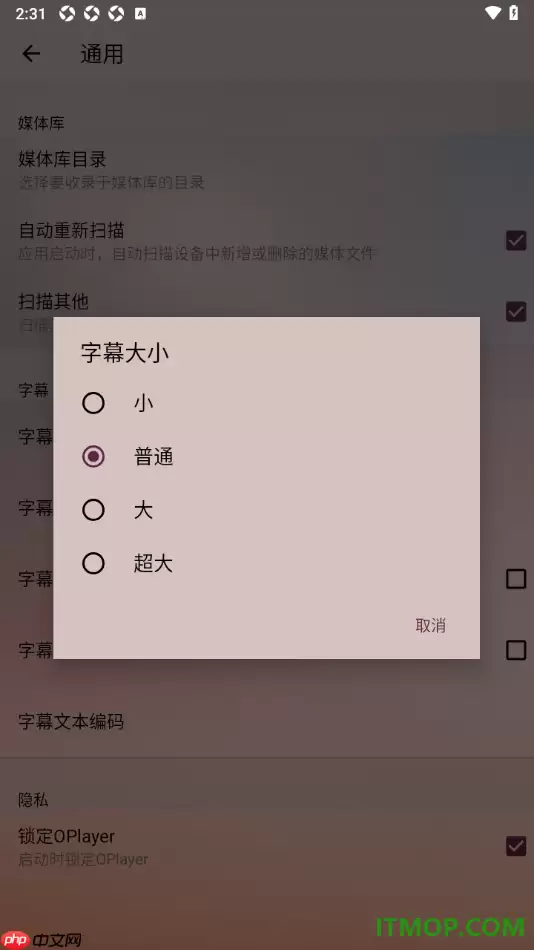 播放器OPlayer手机版设置将字幕调大显示的方法