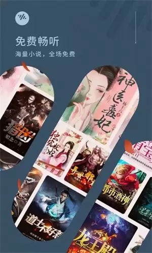 番茄免费小说网页版首页怎么进