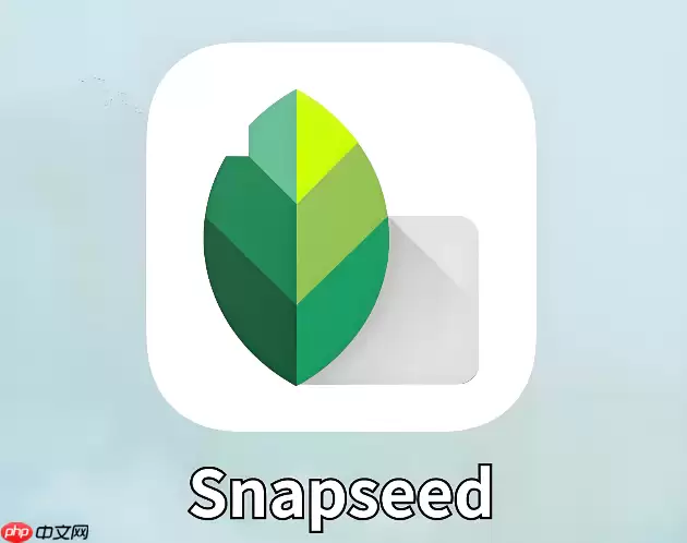 Snapseed怎么去掉衣服上的皱纹和污点