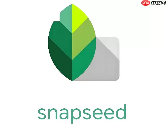 Snapseed怎么修出夕阳剪影的效果