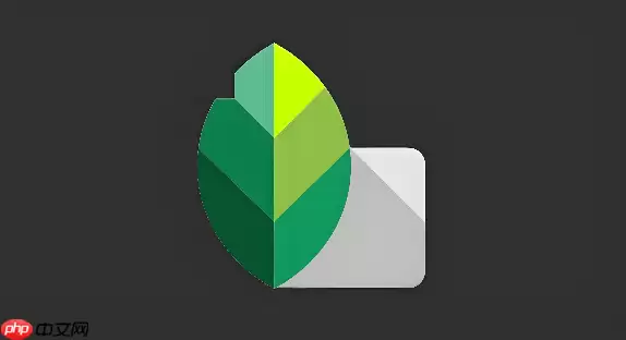 Snapseed怎么导出高清原图不被压缩
