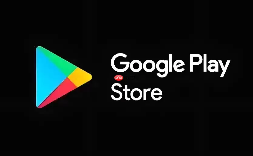 Google Play Store安全入口 Google Play Store官方通道