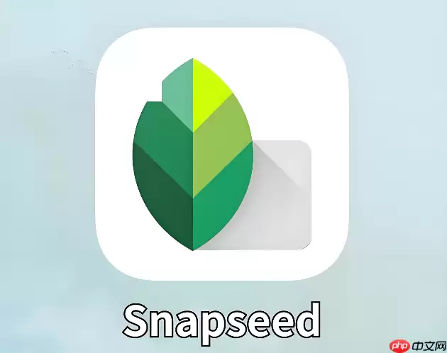 Snapseed怎么给照片添加复古颗粒感