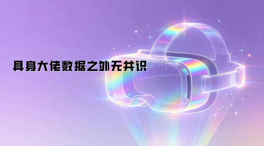 具身大佬数据之外无共识