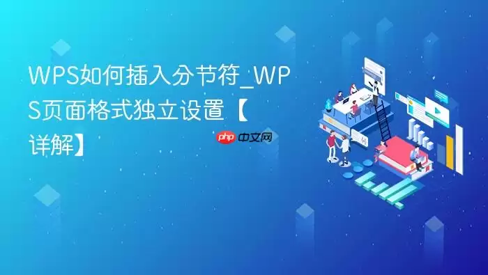 WPS如何插入分节符_WPS页面格式独立设置【详解】