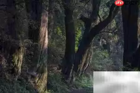 曾家山自驾必去景点推荐