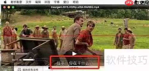 射手播放器自动匹配字幕方法