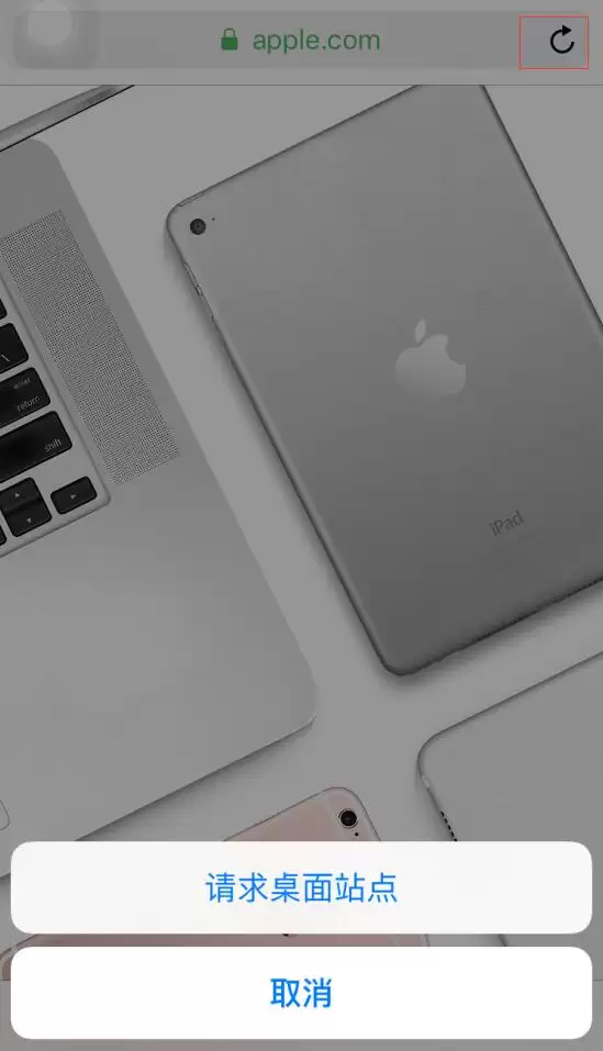 在 iPhone 上使用 Safari 浏览器的 8 个技巧 在 iPhone 上使用 Safari 浏览器的 8 个技巧