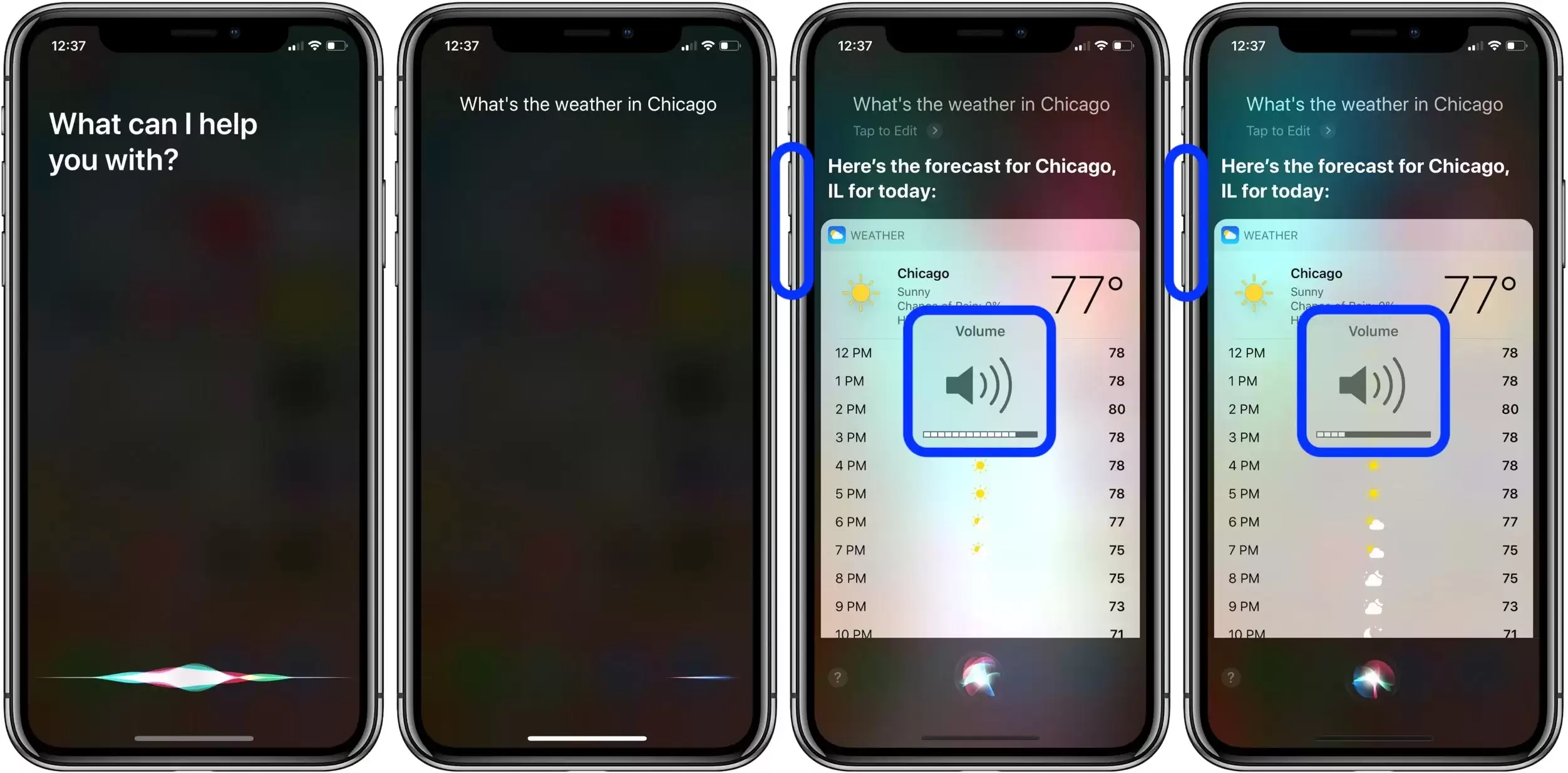 如何在 iPhone、iPad 和 Apple Watch 上更改 Siri 语音音量? 如何在 iPhone、iPad 和 Apple Watch 上更改 Siri 语音音量?