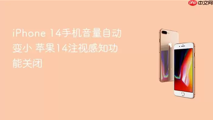 iPhone 14手机音量自动变小 苹果14注视感知功能关闭
