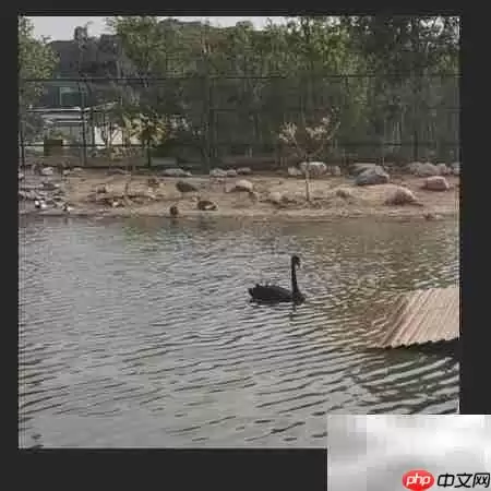 还原真实:图片背景色彩校正技巧