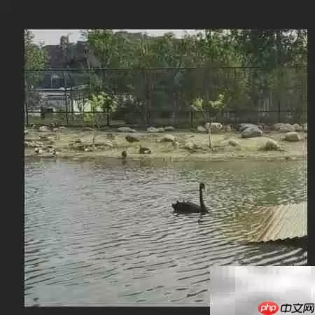 还原真实:图片背景色彩校正技巧