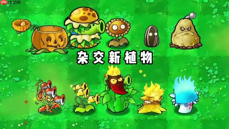 植物大战网页版云玩平台，低配置手机也能玩入口