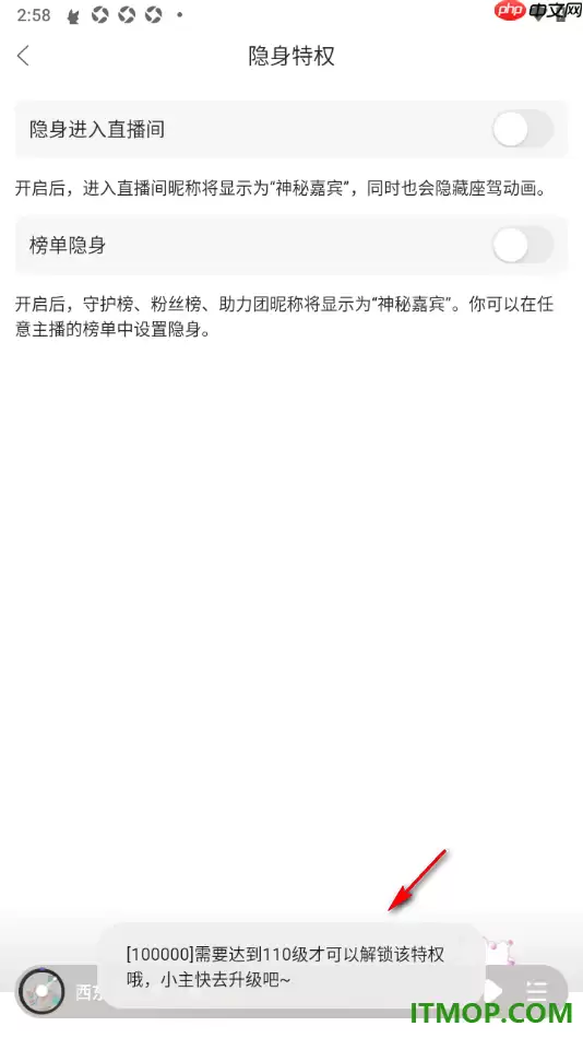漫播手机版设置启用榜单隐身的方法