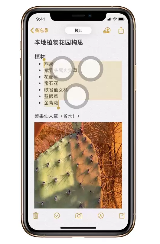 iOS 13 的三指快捷操作怎么用? iOS 13 的三指快捷操作怎么用?