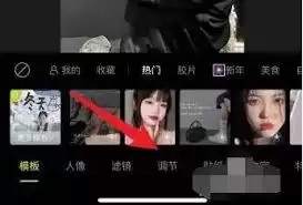 醒图镜像功能在哪里