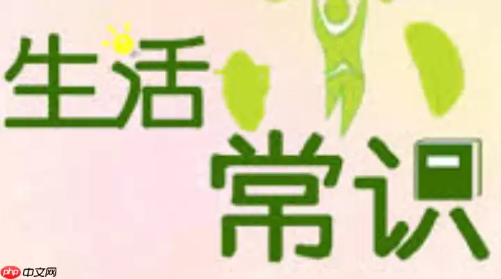 菜鸟裹裹物流单号查询 菜鸟快递运单跟踪查询官网直达链接