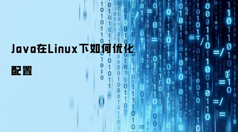Ja va在Linux下如何优化配置