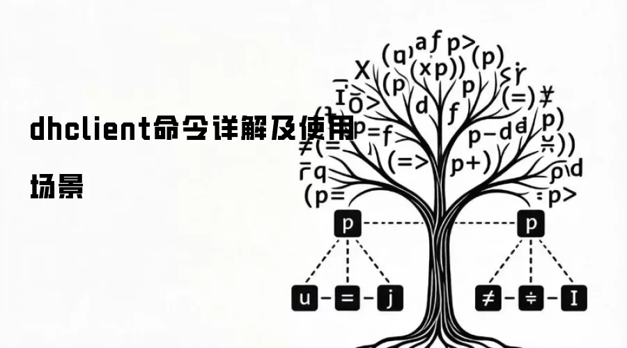 dhclient命令详解及使用场景