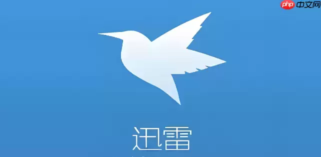 迅雷浏览器网页版免安装入口 迅雷浏览器在线使用网址