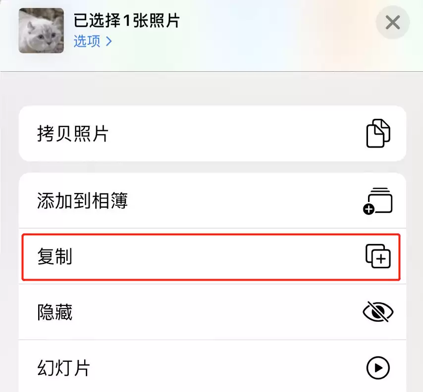 iPhone 11 照片编辑小技巧:巧用“复制”功能保留原片 iPhone 11 照片编辑小技巧:巧用“复制”功能保留原片